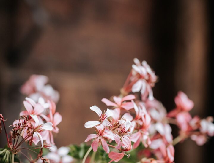 Restaurant hotel La clusaz