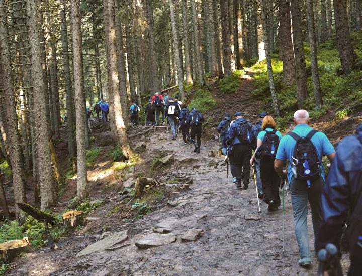 séminaire à la montagne
