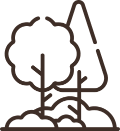 Calme et déconnexion